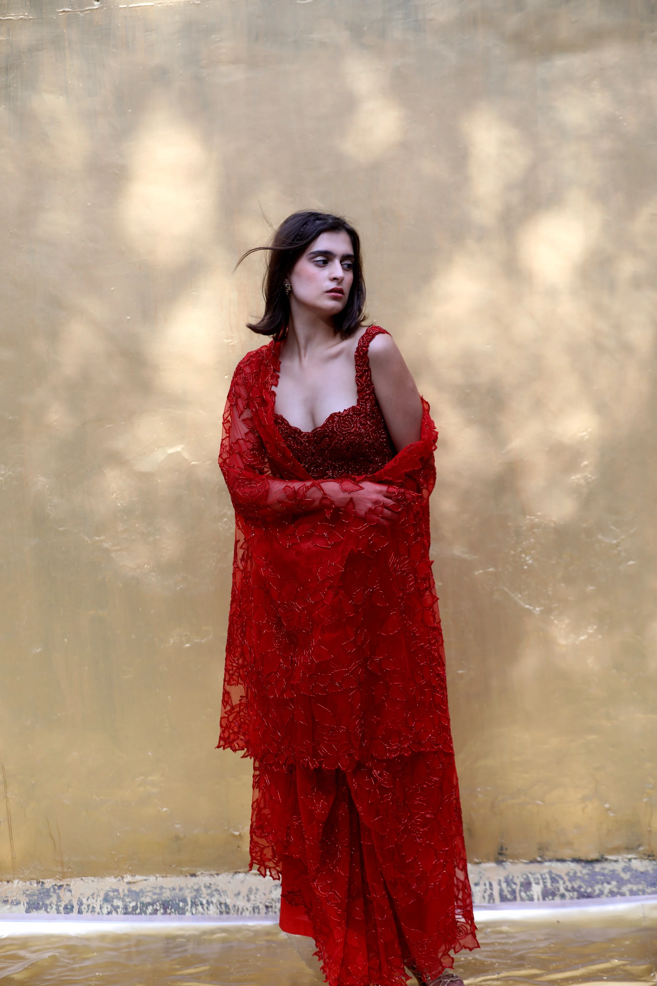 Chandrika - Image 4