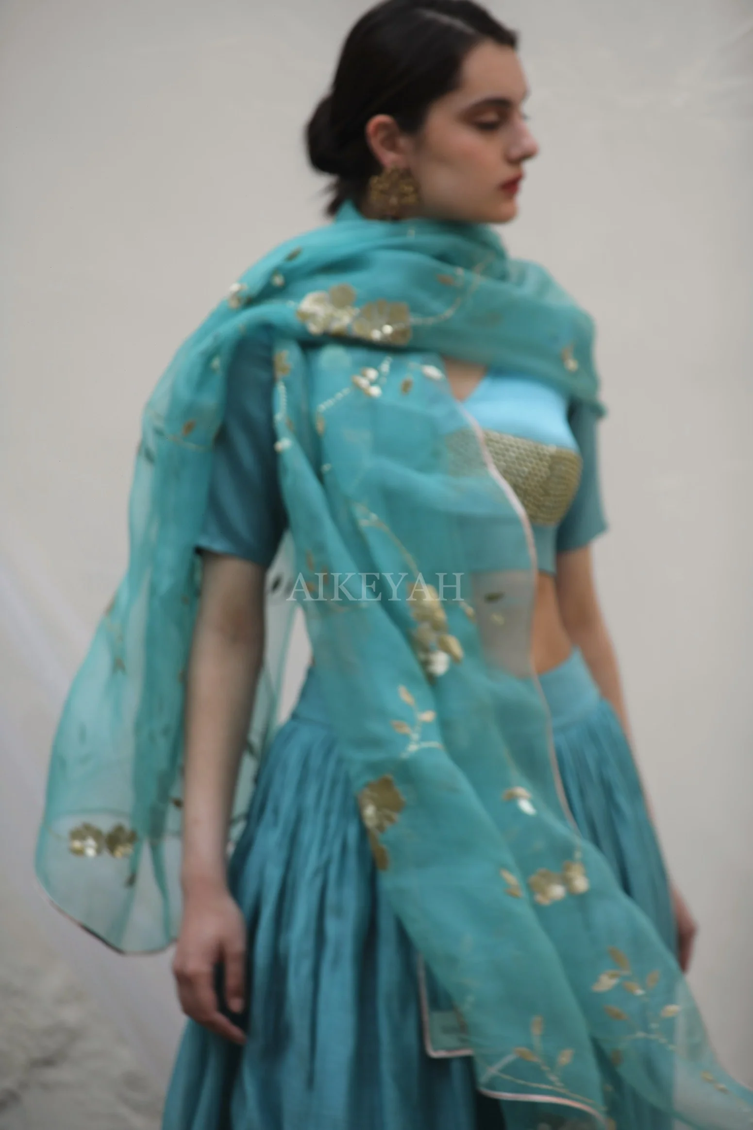 Kumari ghagra - Image 8